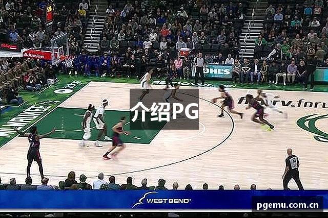 介绍PG